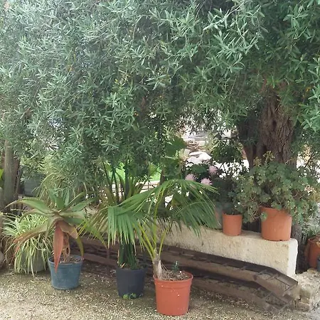 B&B Le Stanze Del Sale Marsala